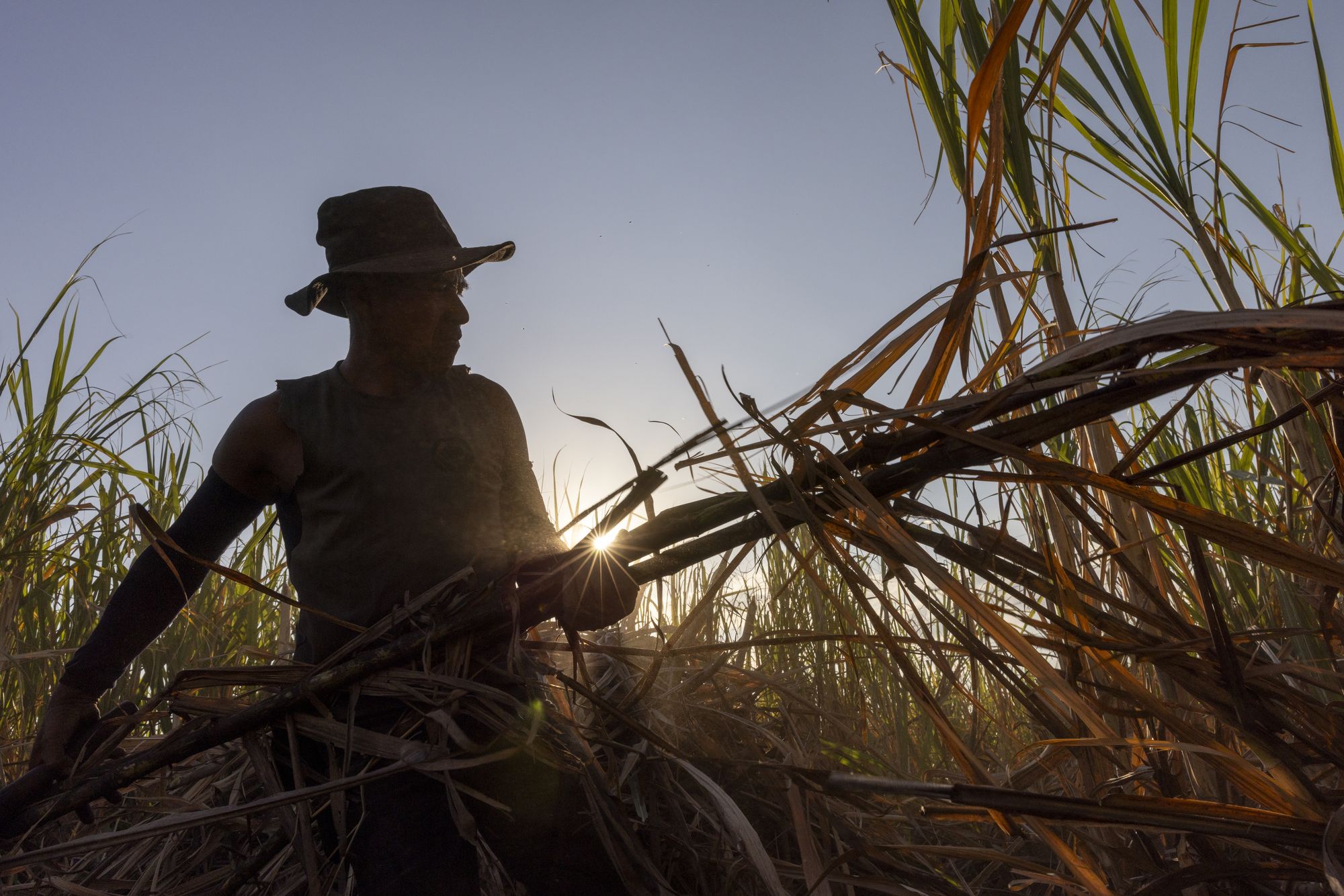 Kashi still , worker at dawn, full bleed